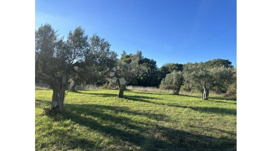 EKSKLUZIVNO - Prostrano zemljište na lijepoj lokaciji
