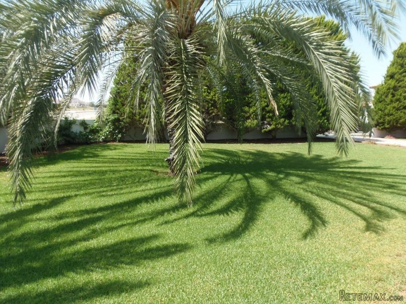 VILLA FOR RENT IN A PRIME LOCATION IN.. - 2