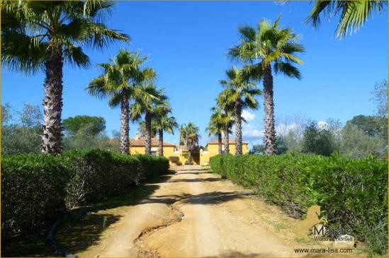 andalusischer Cortijo Finca nahe..