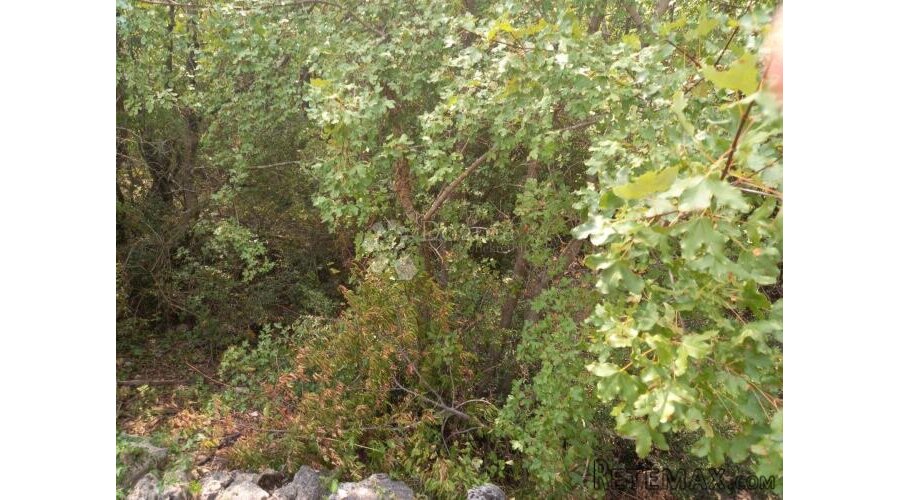Poljoprivredno zemljište na Krku