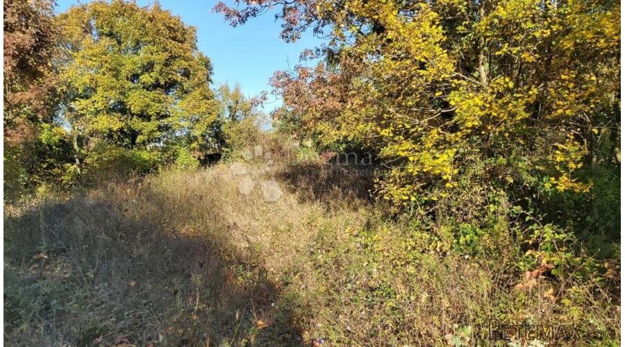 Oranica i vinograd u okolici Labina