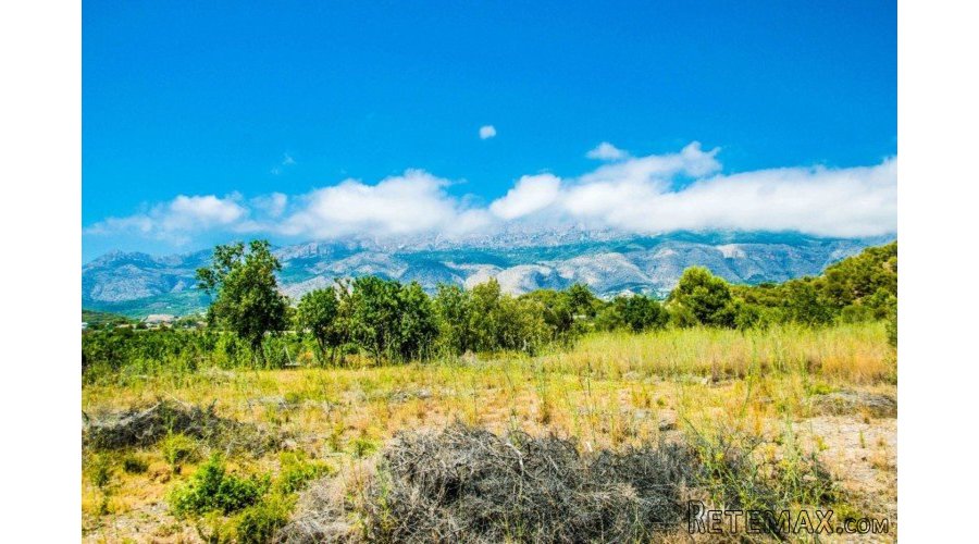 Large plot of 15.000m2 with beautiful sea views in Altea... - 4