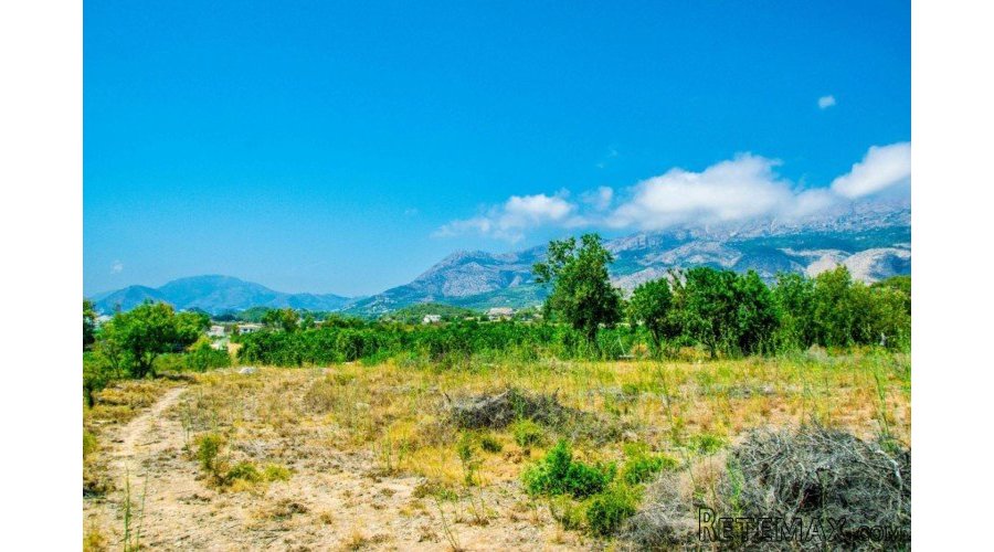 Large plot of 15.000m2 with beautiful sea views in Altea... - 5