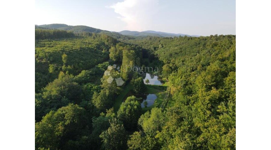 Ribnjaci Slavonija kod N.Gradiške - 2