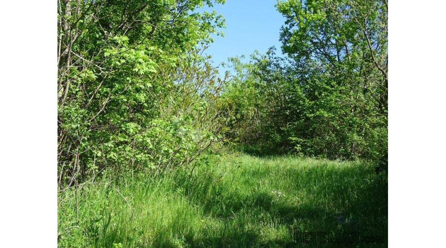 Ročko Polje, poljoprivredni teren