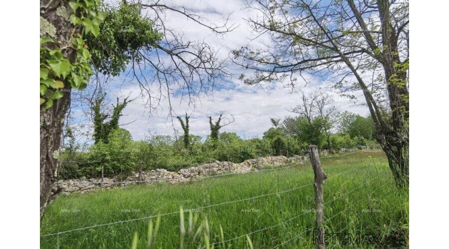 Odlično gradjevinsko zemljište za investiciju. - 4