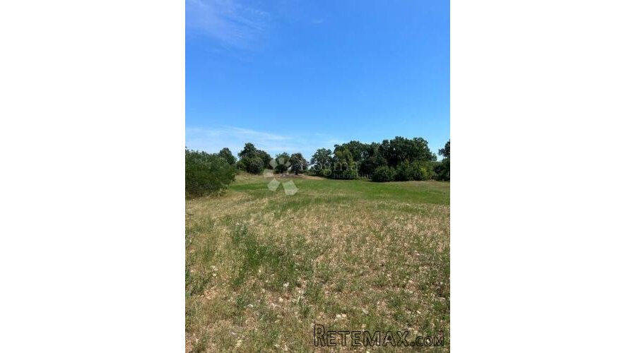 Građevinsko zemljište 4855 m² – idealno za hale, skladišta i