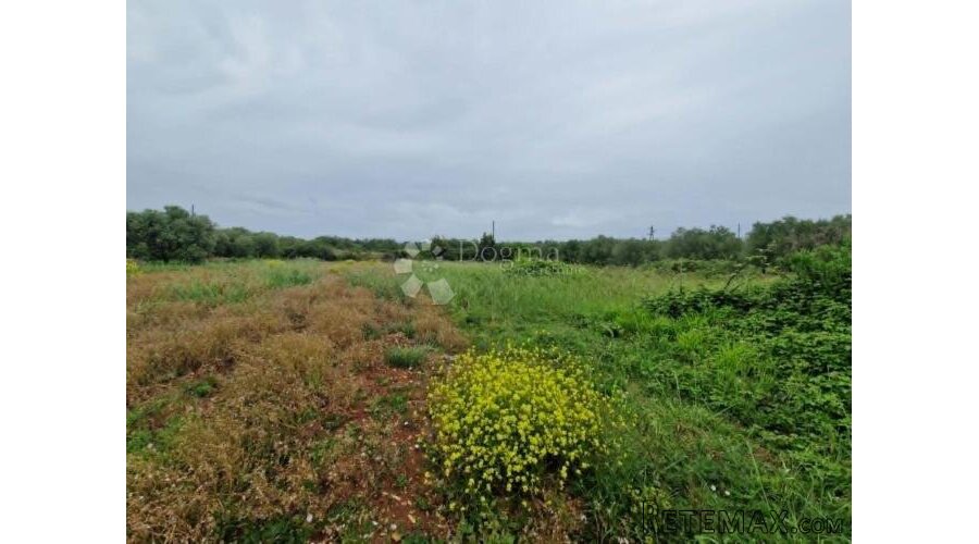 BIOGRAD/TURANJ - GRAĐEVINSKO ZEMLJIŠTE 728 m2