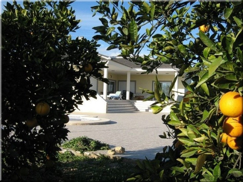 Daya Vieja 4 Beds 2 Baths finca - 2