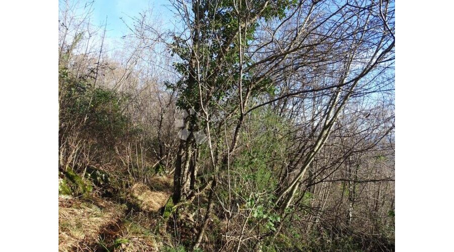 Bregi - negrađevinski teren s pogledom - 3