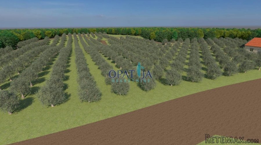 Istra, Bale zemljište 12200 m2 - 2