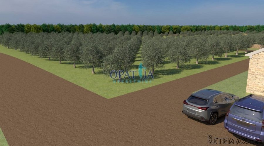 Istra, Bale zemljište 12200 m2 - 3