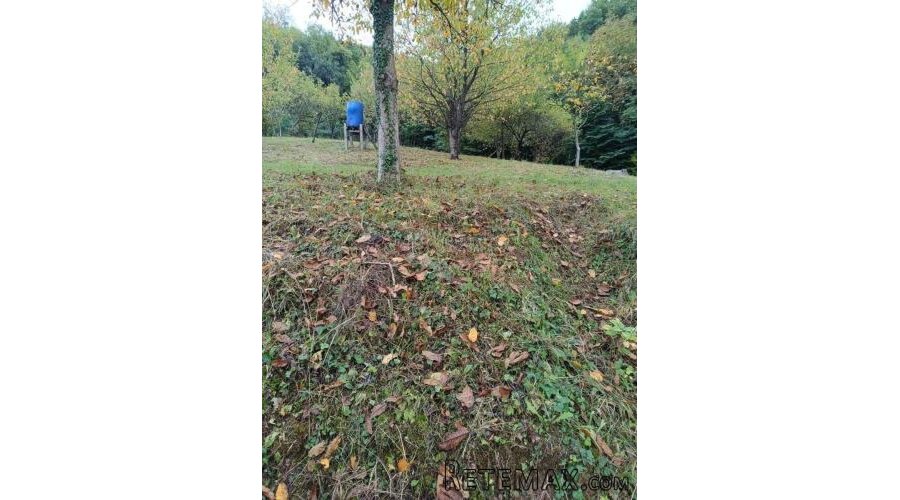 Zemljište s potencijalom - 3