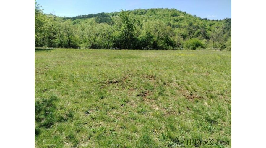 Građevinsko zemljište 3.528 m² , u blizini Grožnjana - 2