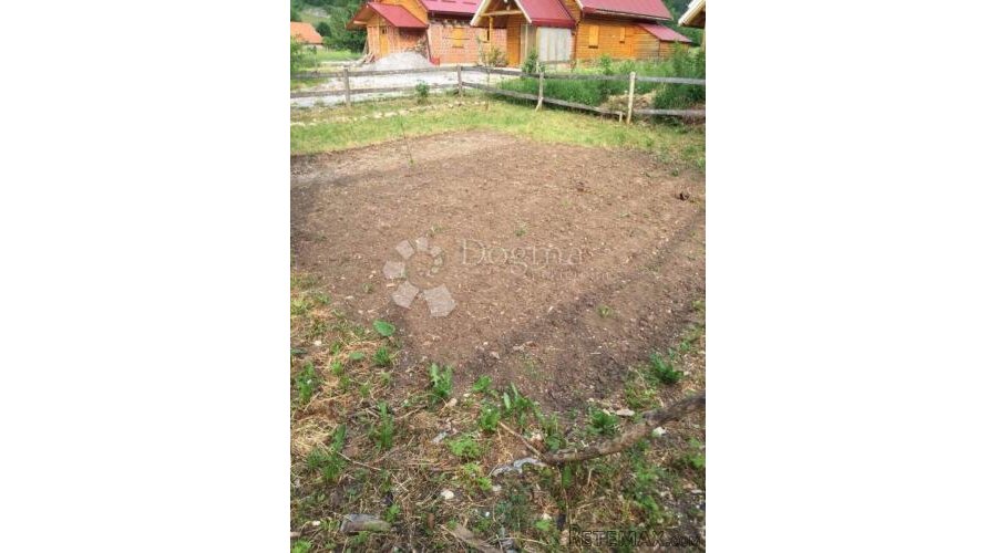 Bjelolasica, Jasenak, - 3