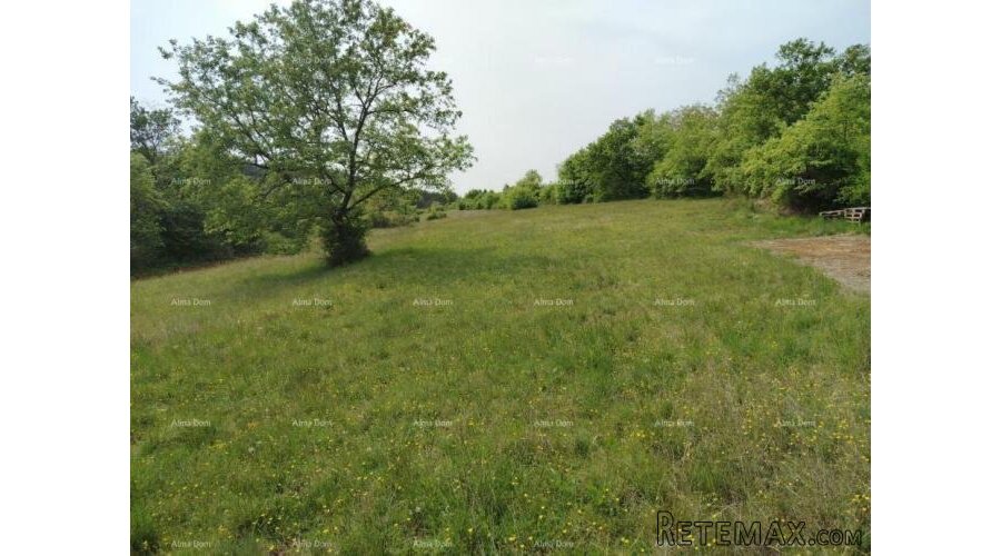 Građevinsko zemljište 3.528 m² , u blizini Grožnjana - 3
