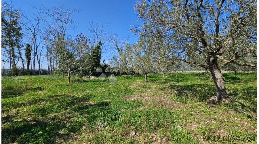 Atraktivno poljoprivredno zemljište uz plažu – rijetko na tr - 3
