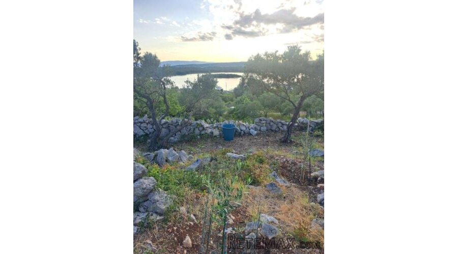 Maslinik s pogledom na more – Punat, otok Krk - 3
