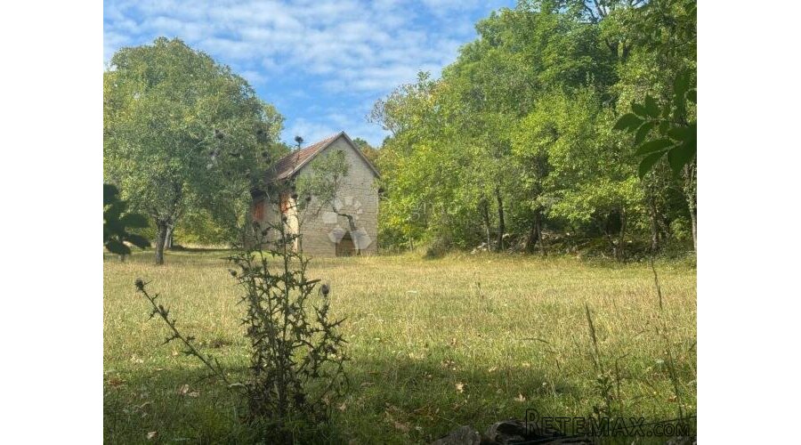 Zemljište u Perušiću – 2 ha u jednom komadu