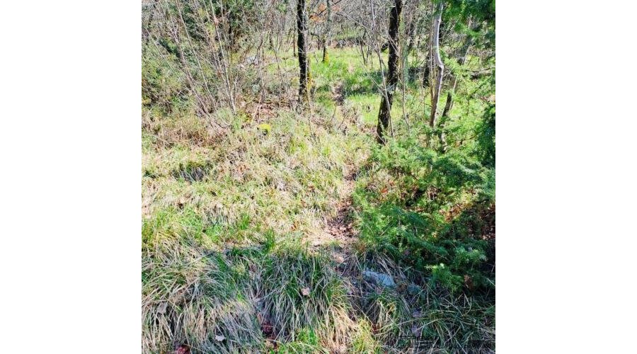 POLJOPRIVREDNO ZEMLJIŠTE – 7.399 m² – KALAC,PRODAJA! - 2