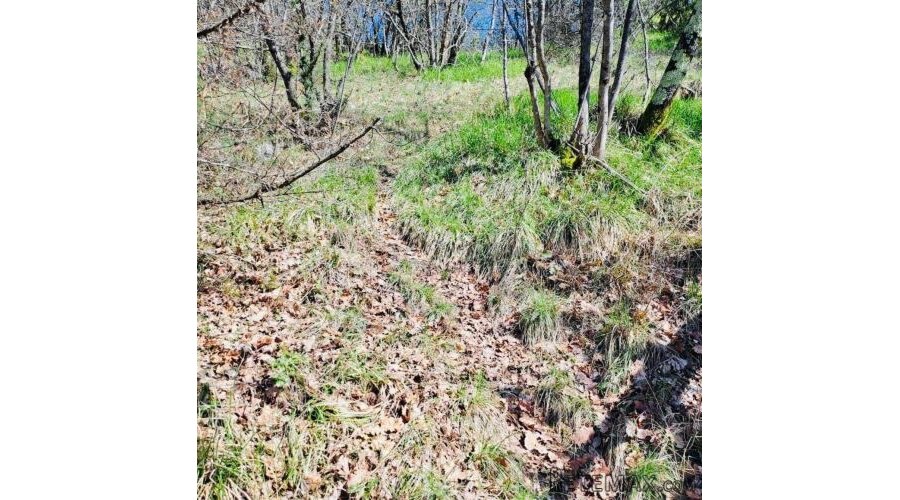 POLJOPRIVREDNO ZEMLJIŠTE – 7.399 m² – KALAC,PRODAJA! - 3