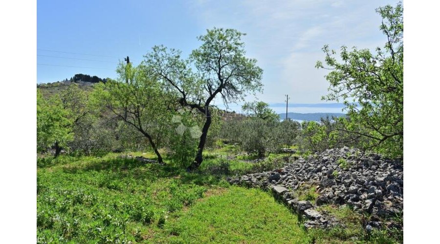 GRAĐEVNO ZEMLJIŠTE DRAŽICE, SEGET GORNJI - 2