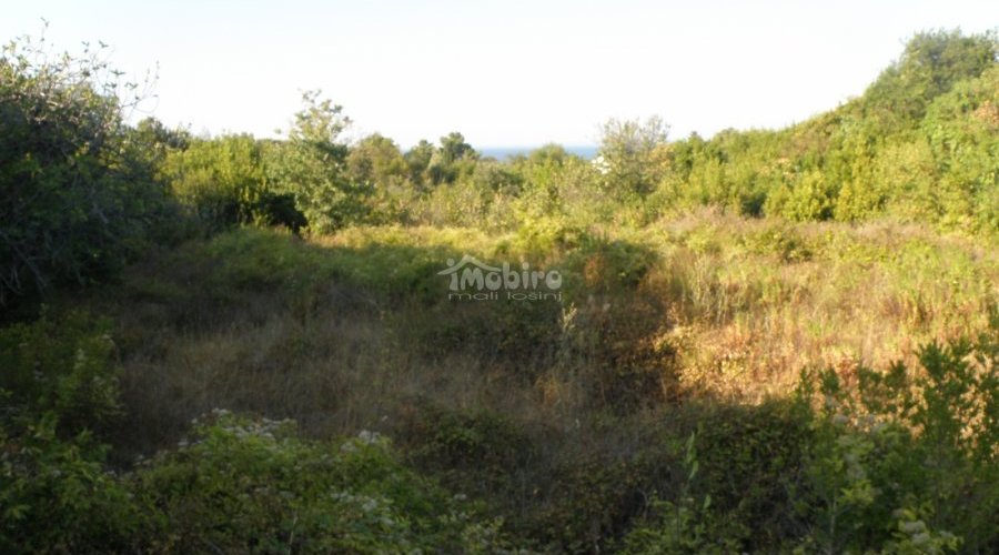 Građevinsko zemljište za vilu ili više stambenih objekata - 6