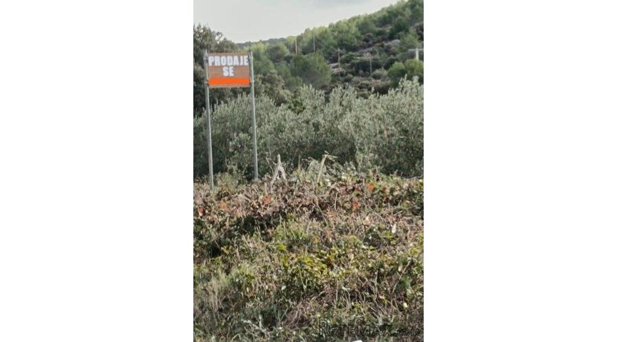 Poljoprivredno zemljište – Maslinik, Sevid - 2
