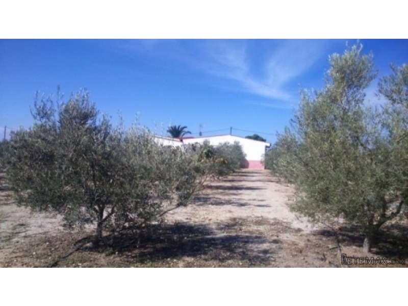 Hondon De Los Frailes - Country Finca..