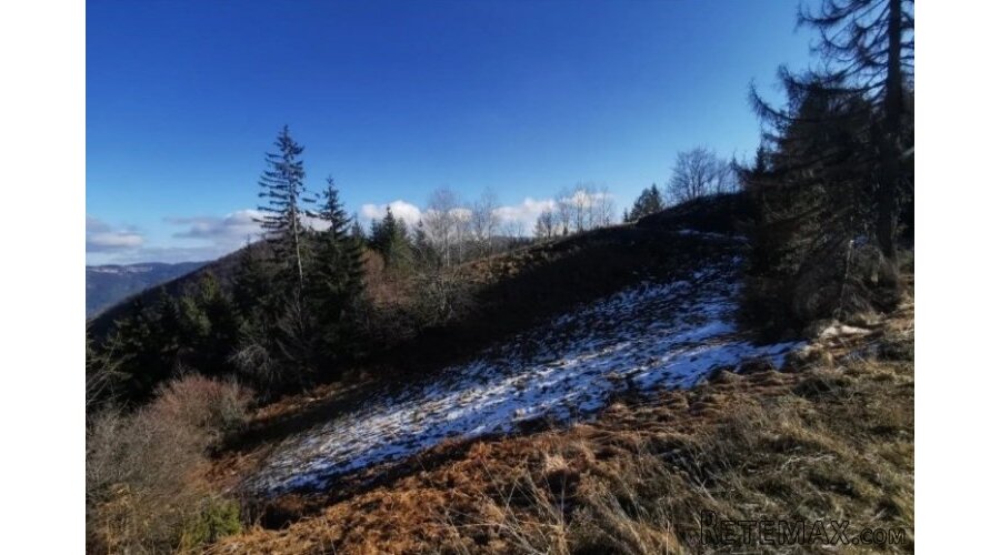 Zaovine/Vasiliči, 44ara - 8