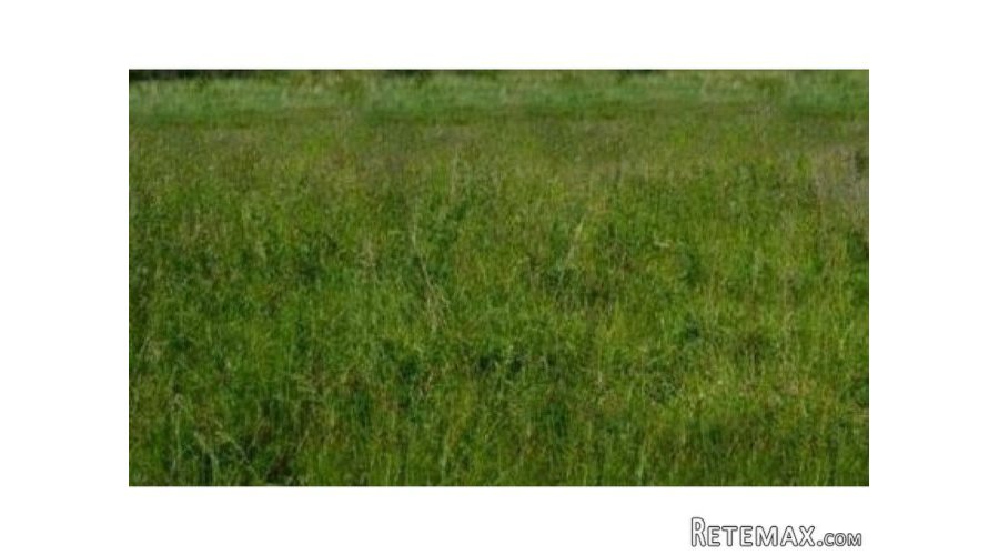 Продам участок земли в Палласовском - 2