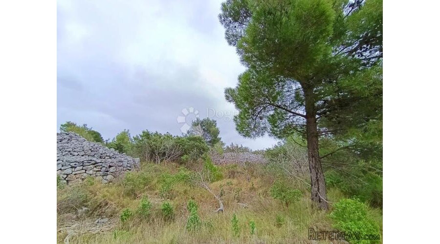 POLJOPRIVREDNO ZEMLJIŠTE ZUBATNJI RATANAC, MILNA - 3