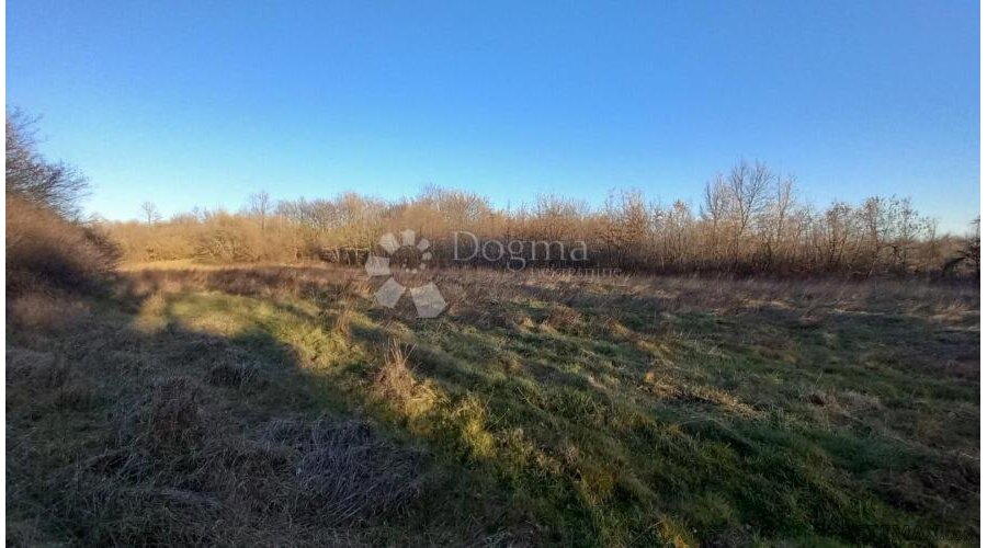 Poljoprivredno zemljište – Odlična Prilika!
