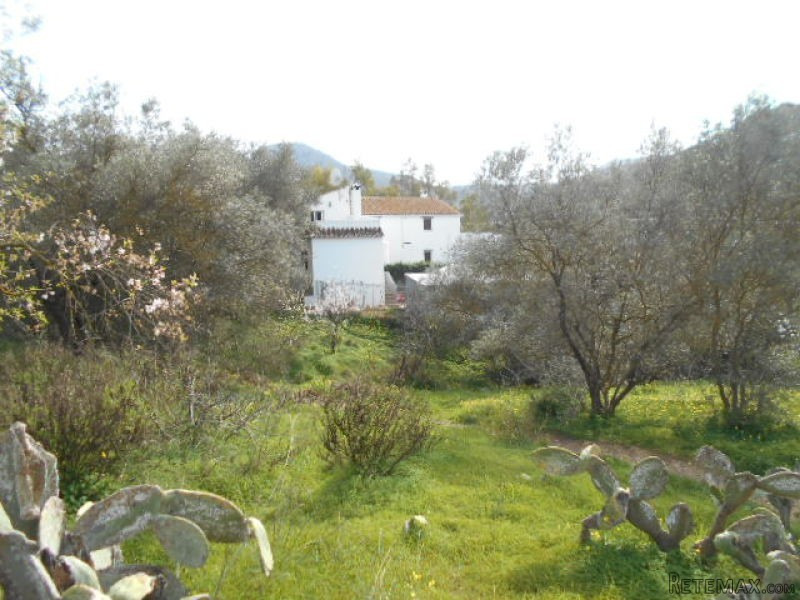 Velez Finca*