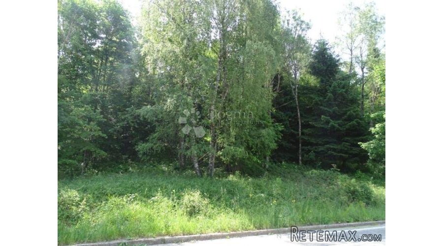PRILIKA! Gradjevinsko zemljište s crnogoričnom šumom i pogle - 2