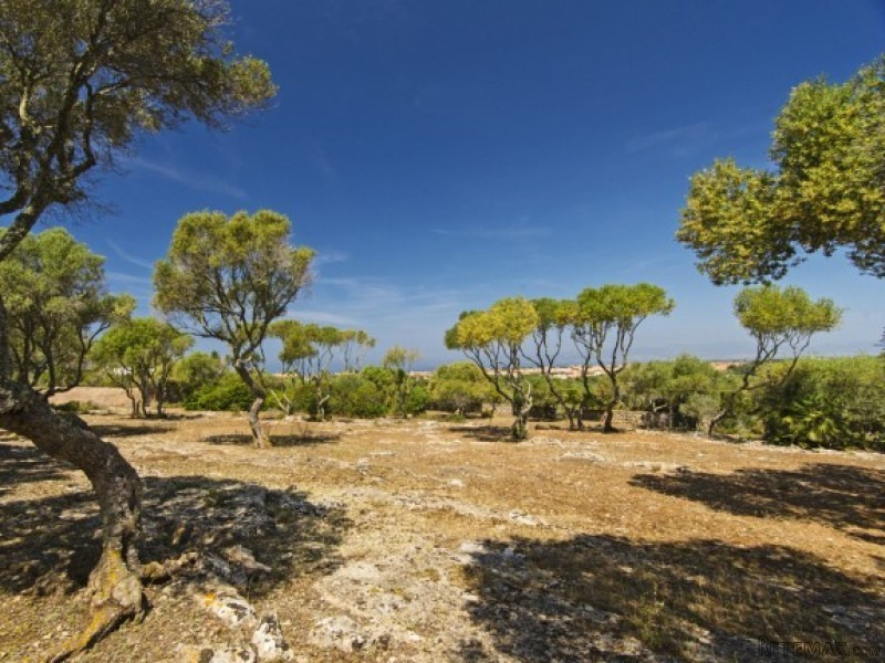Land Of 10.7 Hectares With Panoramic..