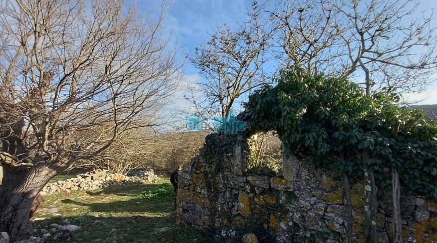Ucrtana kuća sa velikom kvadraturom zemlje - 4