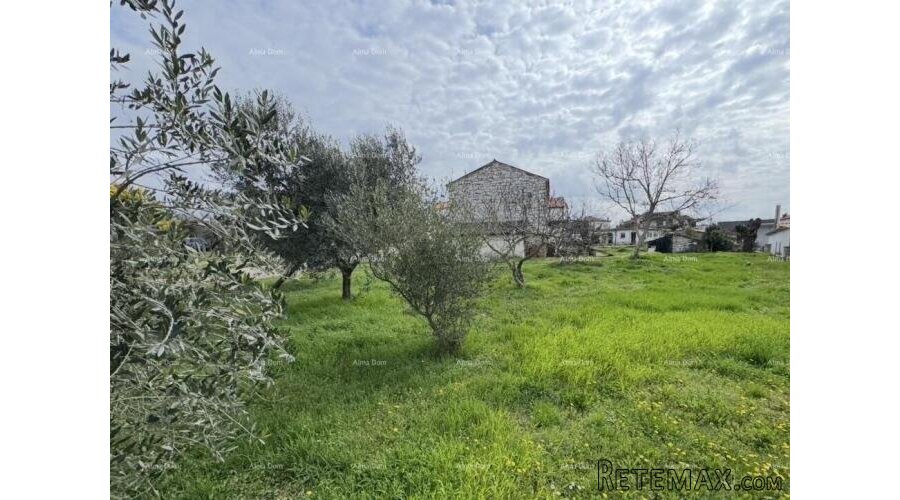 Kamena kuća s potencijalom – blizu Umaga - 2