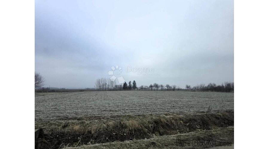 Vaša budućnost Vas željno čeka! - 2