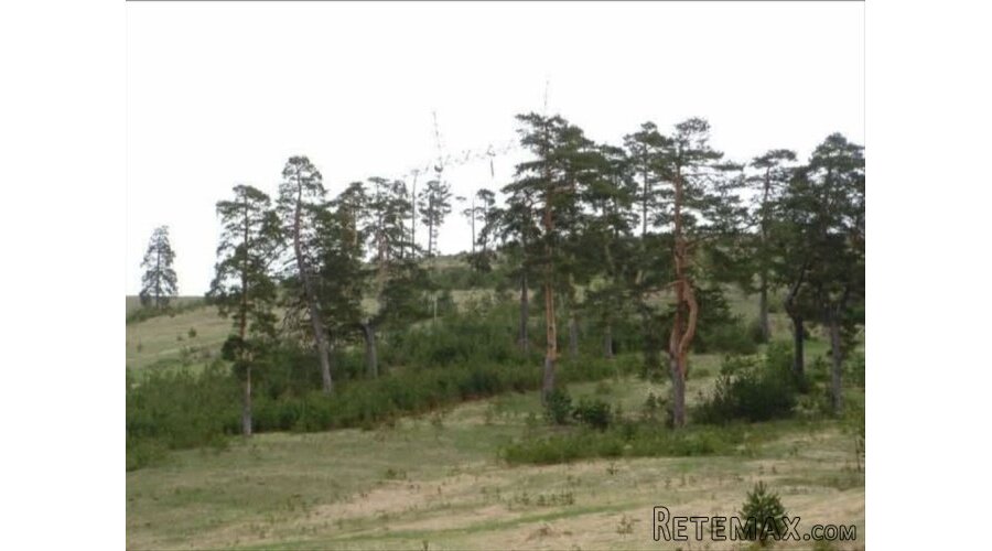 Zlatiborski Dukat-zemljiste,investicija-Čigota - 10