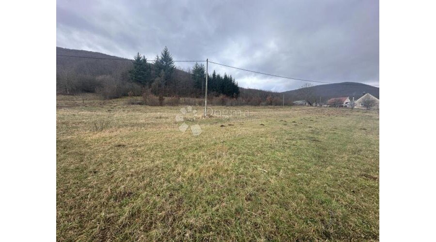 PERUŠIĆ U OAZI PRIRODE I TIŠINE 4000M2 + KUĆA S DVORIŠTEM - 2