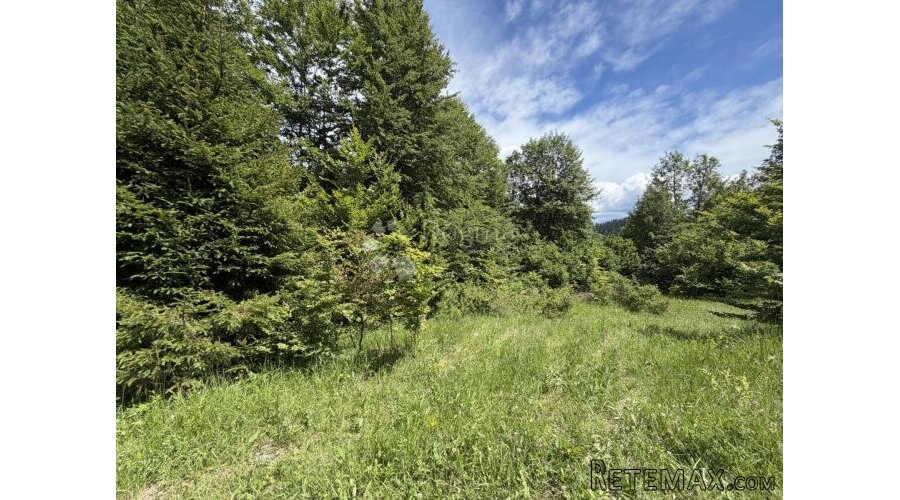 GORSKI KOTAR STARI LAZ, 3970m2 djelomično građevinsko