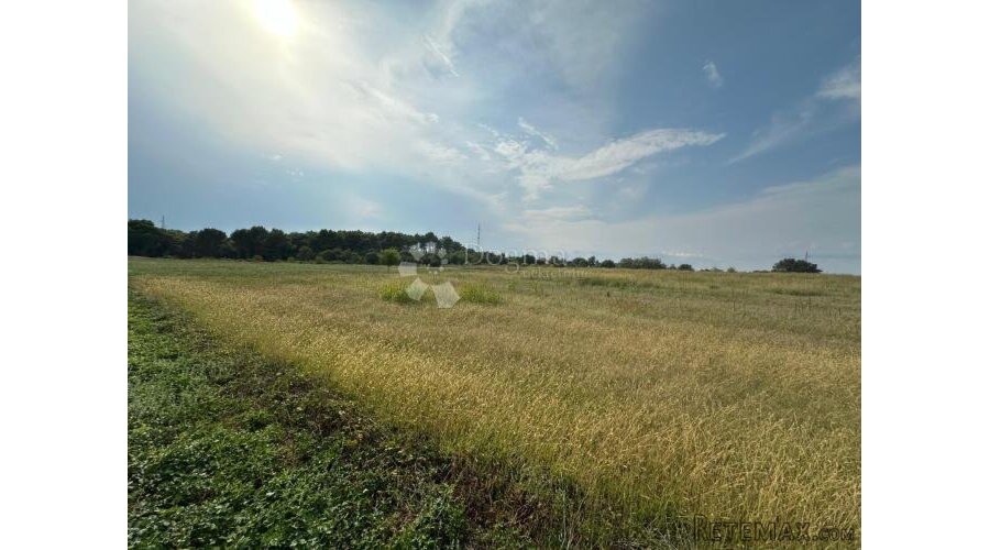 Zemljište za gradnju Tar 3,5km od mora - 2