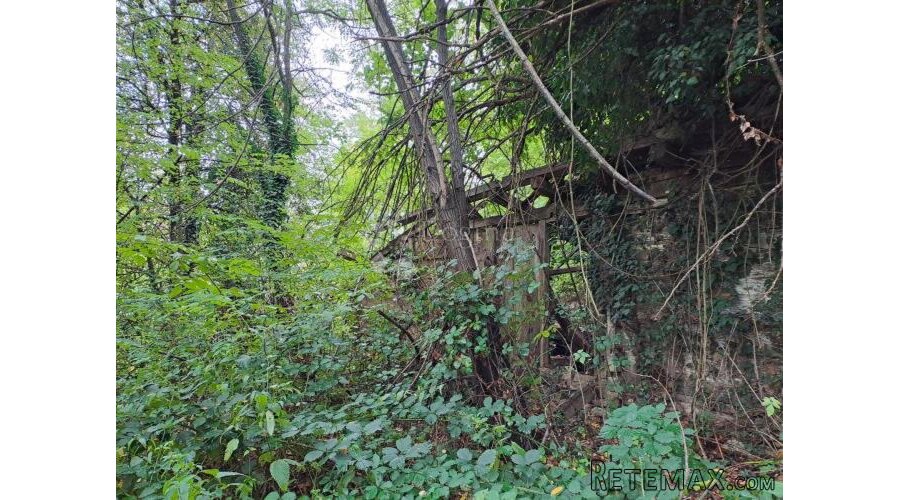 Drvena kuća i izvor u šumi - 3
