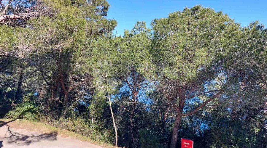 DALMACIJA, 43.70 M2, 1S+DB - 10
