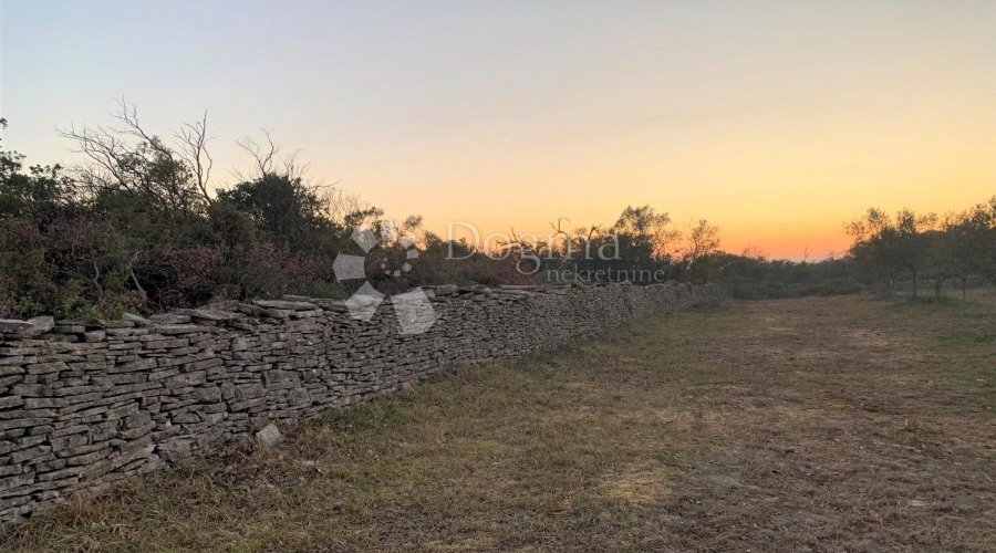 BALE – maslinik i šuma 3 km od mora - 8