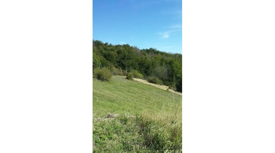 Plac ispod Cigote-Zlatibor - 3