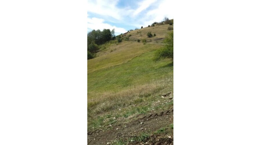 Plac ispod Cigote-Zlatibor - 4