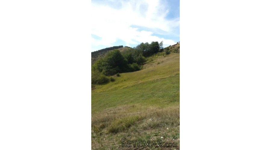 Plac ispod Cigote-Zlatibor - 5