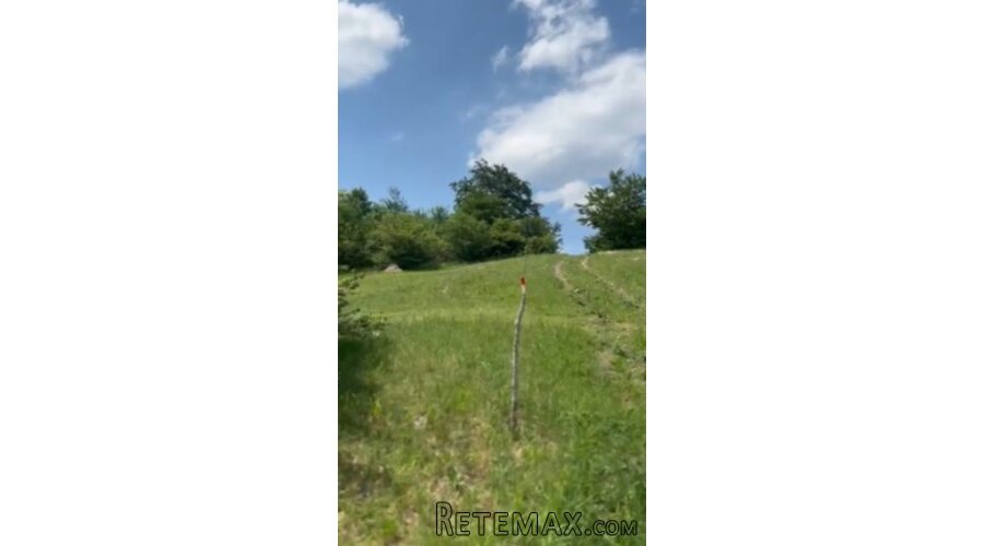 Plac ispod Cigote-Zlatibor - 6